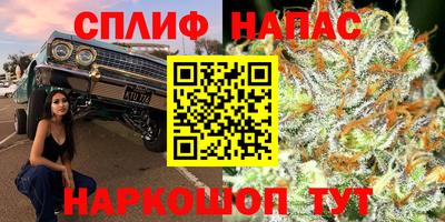не бодяженный Можга