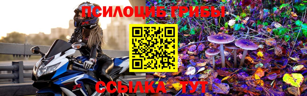 Псилоцибиновые грибы ЛСД Волжск